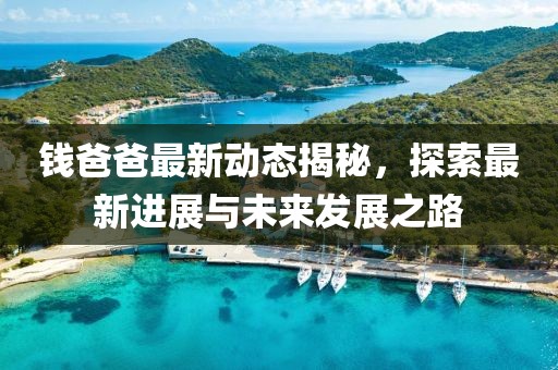 钱爸爸最新动态揭秘，探索最新进展与未来发展之路