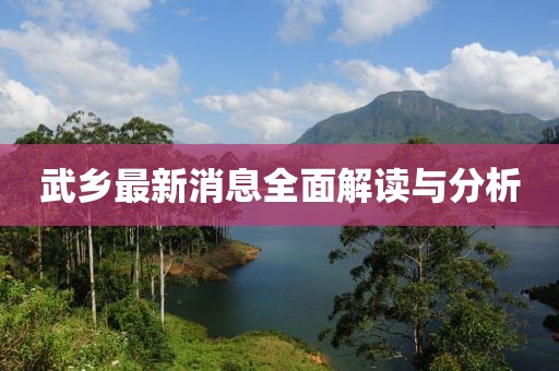 武乡最新消息全面解读与分析
