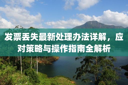 发票丢失最新处理办法详解，应对策略与操作指南全解析