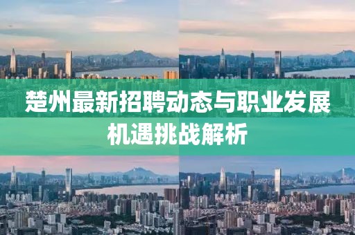 楚州最新招聘动态与职业发展机遇挑战解析