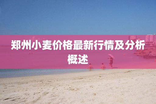 郑州小麦价格最新行情及分析概述