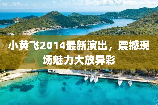小黄飞2014最新演出，震撼现场魅力大放异彩