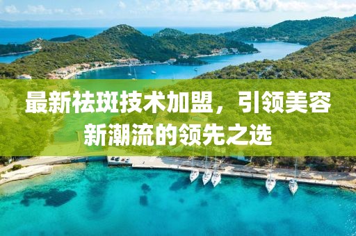 最新祛斑技术加盟，引领美容新潮流的领先之选