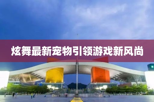 炫舞最新宠物引领游戏新风尚