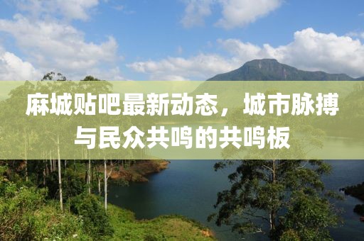 麻城贴吧最新动态，城市脉搏与民众共鸣的共鸣板