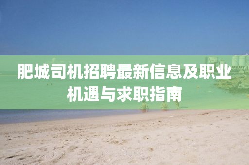 肥城司机招聘最新信息及职业机遇与求职指南