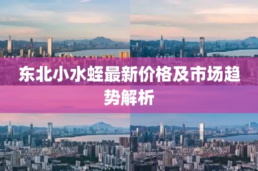 东北小水蛭最新价格及市场趋势解析