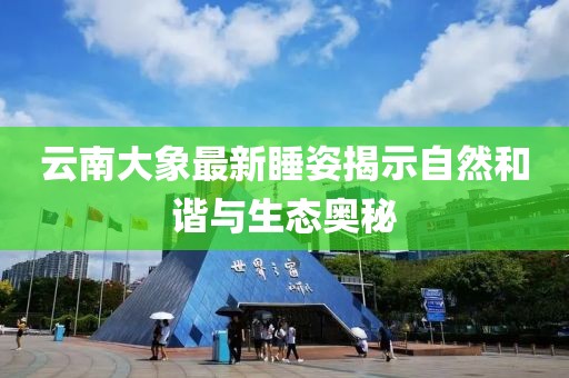 云南大象最新睡姿揭示自然和谐与生态奥秘