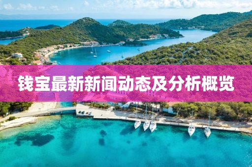 钱宝最新新闻动态及分析概览