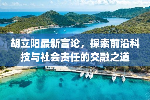 胡立阳最新言论，探索前沿科技与社会责任的交融之道