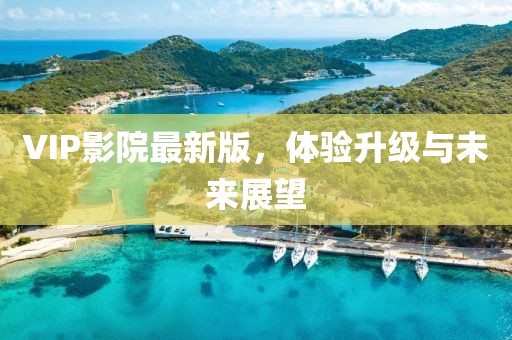VIP影院最新版，体验升级与未来展望