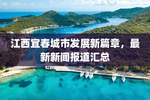 江西宜春城市发展新篇章，最新新闻报道汇总