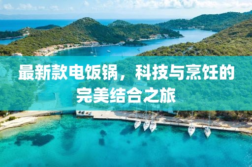 最新款电饭锅，科技与烹饪的完美结合之旅