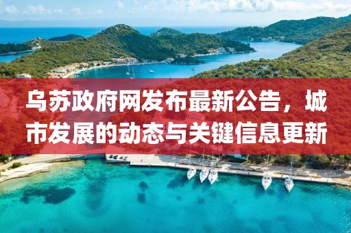 乌苏政府网发布最新公告，城市发展的动态与关键信息更新