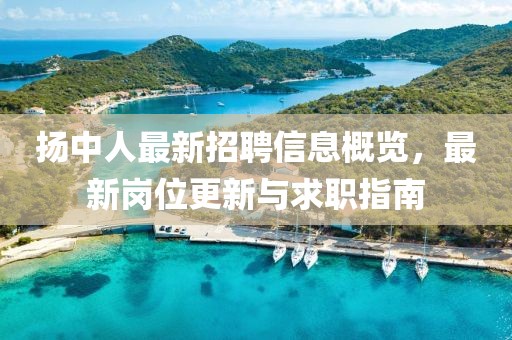 扬中人最新招聘信息概览，最新岗位更新与求职指南