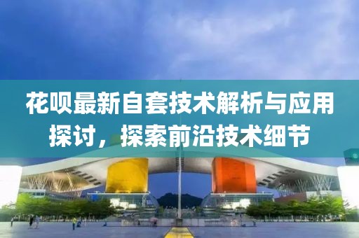花呗最新自套技术解析与应用探讨，探索前沿技术细节