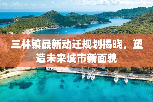 三林镇最新动迁规划揭晓，塑造未来城市新面貌