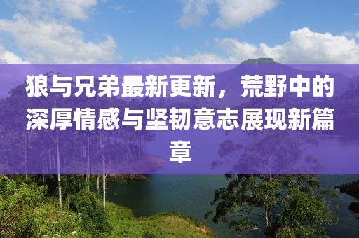狼与兄弟最新更新，荒野中的深厚情感与坚韧意志展现新篇章