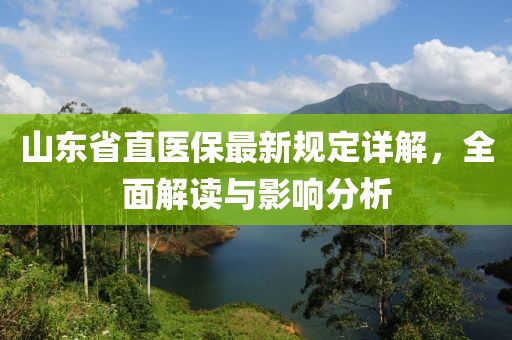 山东省直医保最新规定详解，全面解读与影响分析