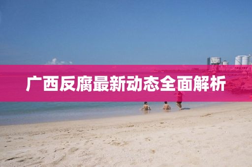 广西反腐最新动态全面解析