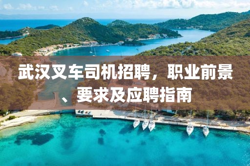 武汉叉车司机招聘，职业前景、要求及应聘指南