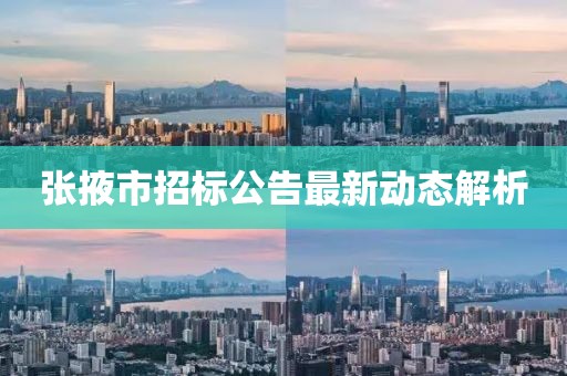 张掖市招标公告最新动态解析