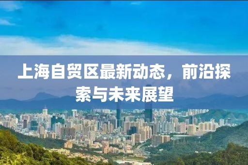 上海自贸区最新动态，前沿探索与未来展望