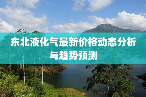 东北液化气最新价格动态分析与趋势预测