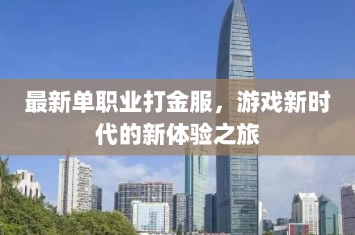 最新单职业打金服，游戏新时代的新体验之旅