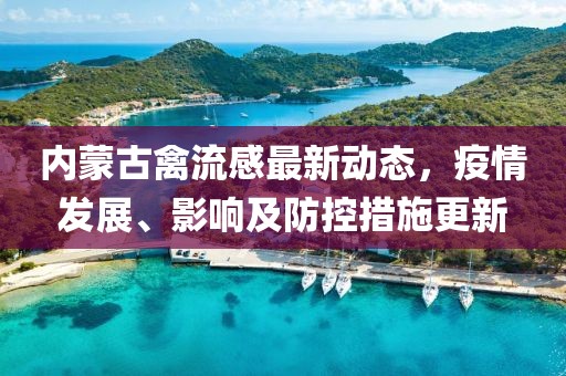 内蒙古禽流感最新动态，疫情发展、影响及防控措施更新