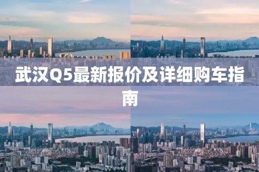 扬强 第4页