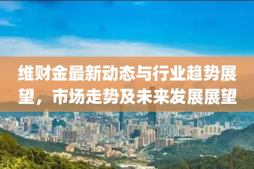 维财金最新动态与行业趋势展望，市场走势及未来发展展望