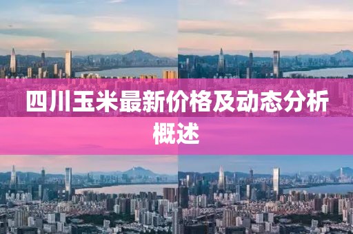 四川玉米最新价格及动态分析概述