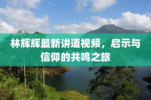 林辉辉最新讲道视频，启示与信仰的共鸣之旅