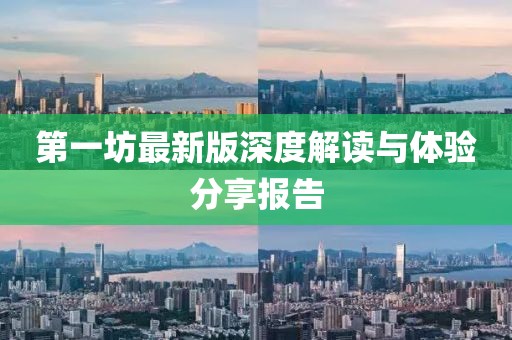 第一坊最新版深度解读与体验分享报告