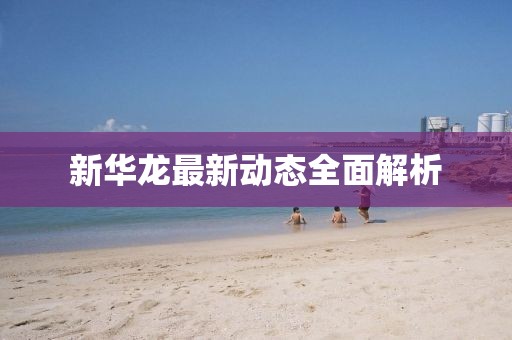 新华龙最新动态全面解析