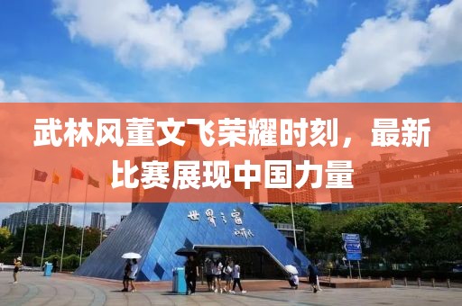 武林风董文飞荣耀时刻，最新比赛展现中国力量