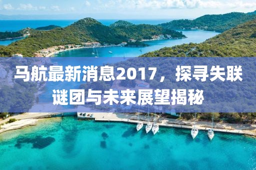 马航最新消息2017，探寻失联谜团与未来展望揭秘