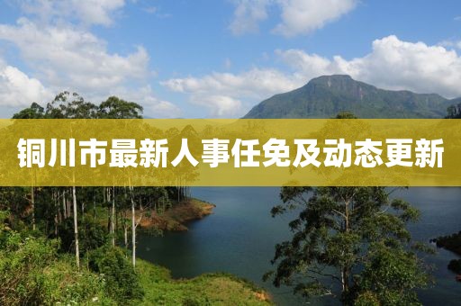 铜川市最新人事任免及动态更新