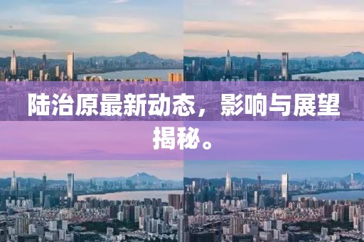 陆治原最新动态，影响与展望揭秘。