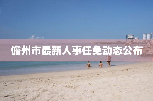 儋州市最新人事任免动态公布