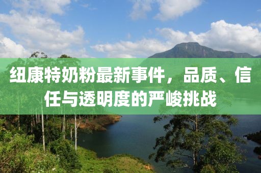 西门文君 第4页
