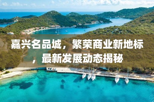 嘉兴名品城，繁荣商业新地标，最新发展动态揭秘