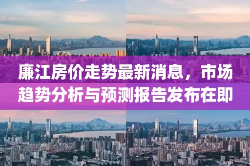 廉江房价走势最新消息，市场趋势分析与预测报告发布在即