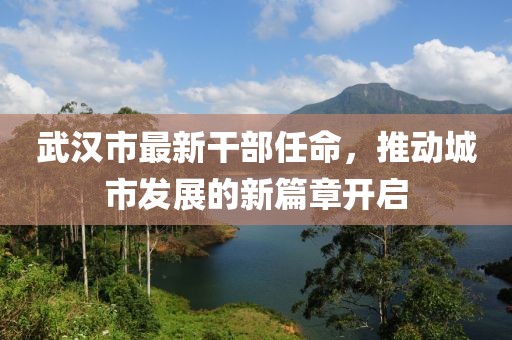武汉市最新干部任命，推动城市发展的新篇章开启