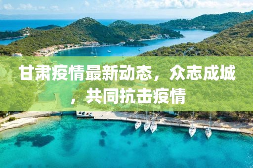 甘肃疫情最新动态，众志成城，共同抗击疫情