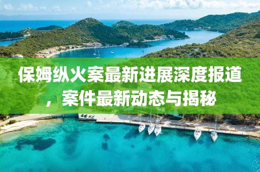 保姆纵火案最新进展深度报道，案件最新动态与揭秘