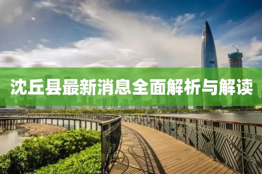 沈丘县最新消息全面解析与解读
