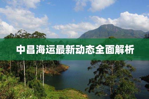 中昌海运最新动态全面解析