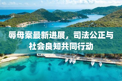 辱母案最新进展，司法公正与社会良知共同行动